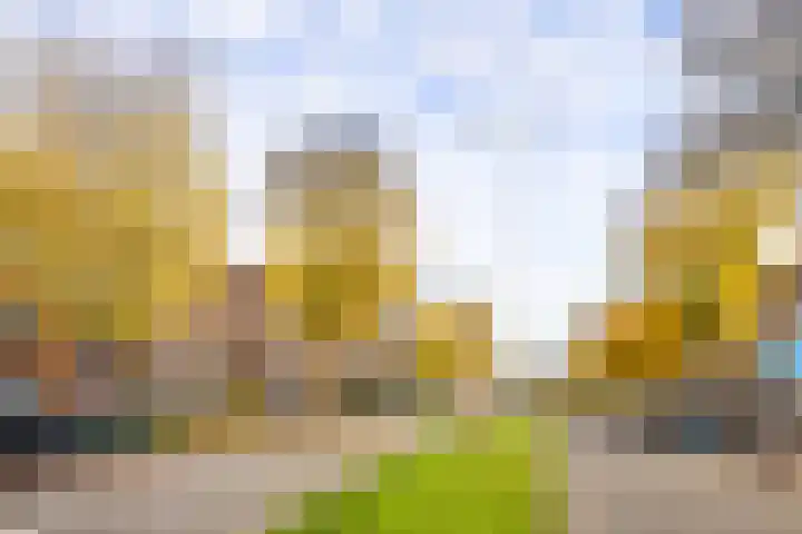Oudenoord 448 Utrecht thumbnail 7