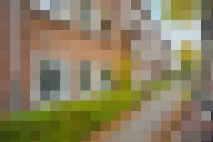 Oudenoord 448 Utrecht thumbnail 9