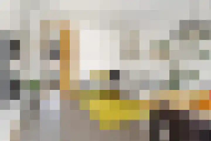 Oudenoord 452 Utrecht thumbnail 10