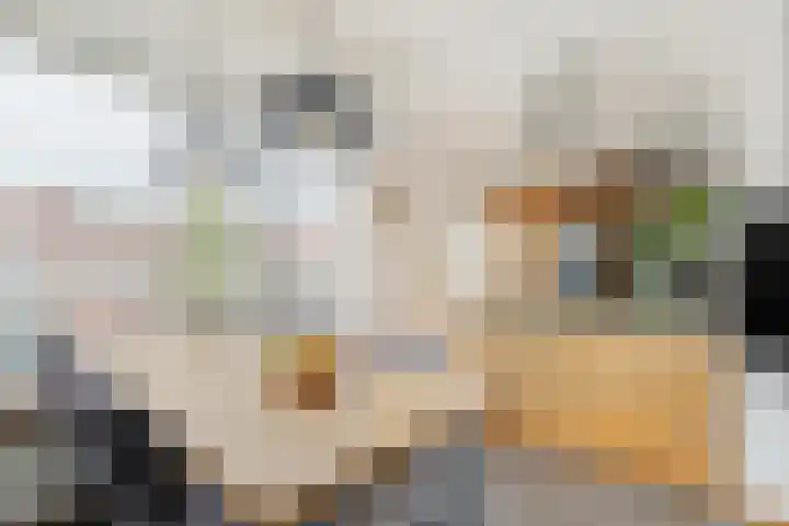 Oudenoord 452 Utrecht thumbnail 13