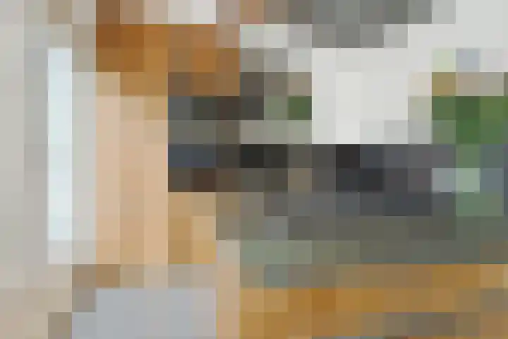 Oudenoord 452 Utrecht thumbnail 14