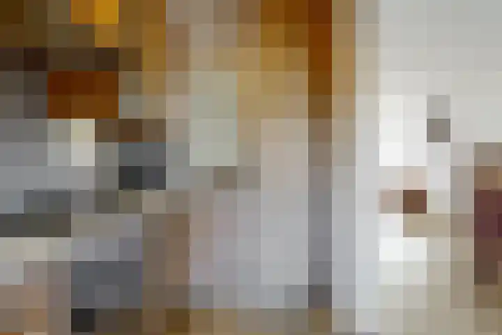 Oudenoord 459 Utrecht thumbnail 12