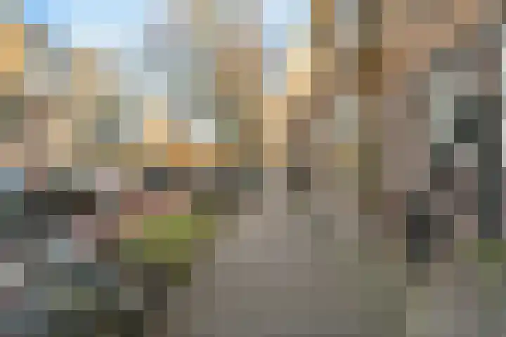 Oudenoord 459 Utrecht thumbnail 4