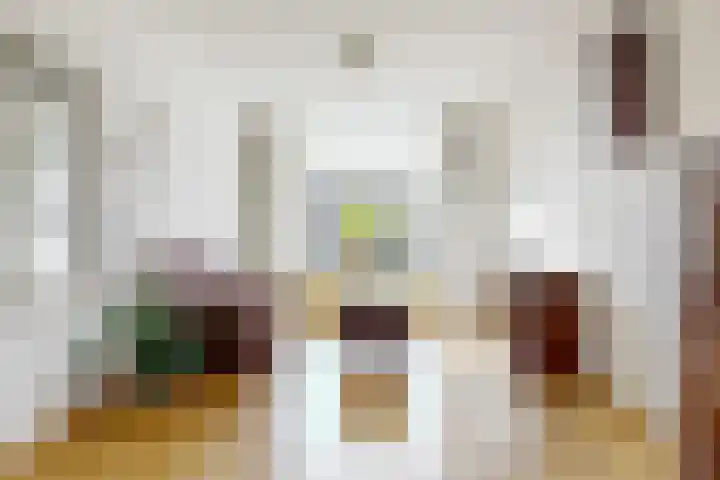 Oudenoord 459 Utrecht thumbnail 6