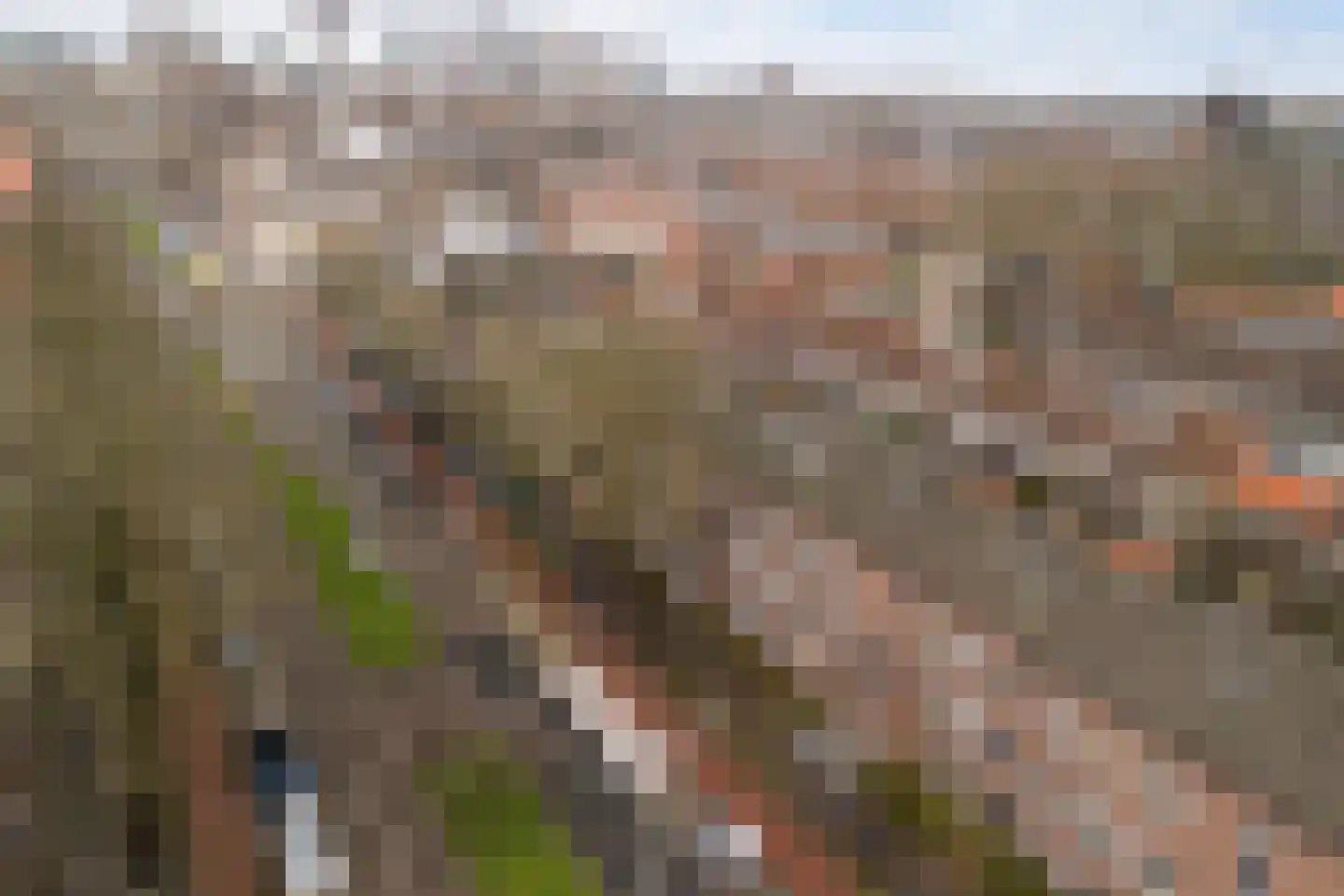 Oudenoord 464 Utrecht thumbnail 22