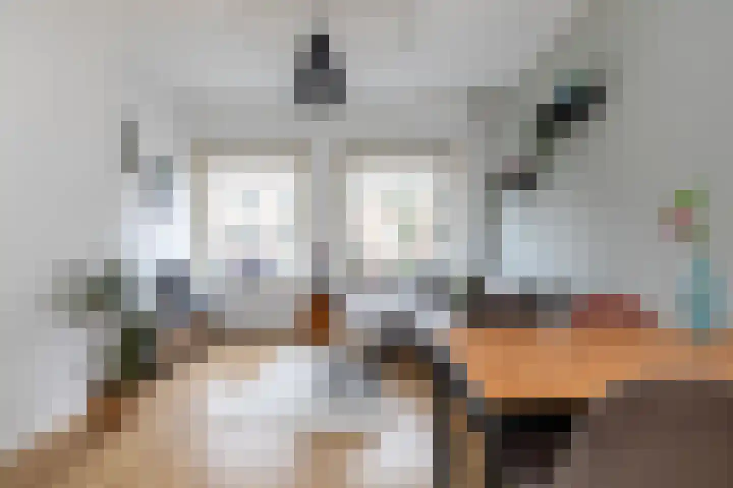 Oudenoord 464 Utrecht thumbnail 6