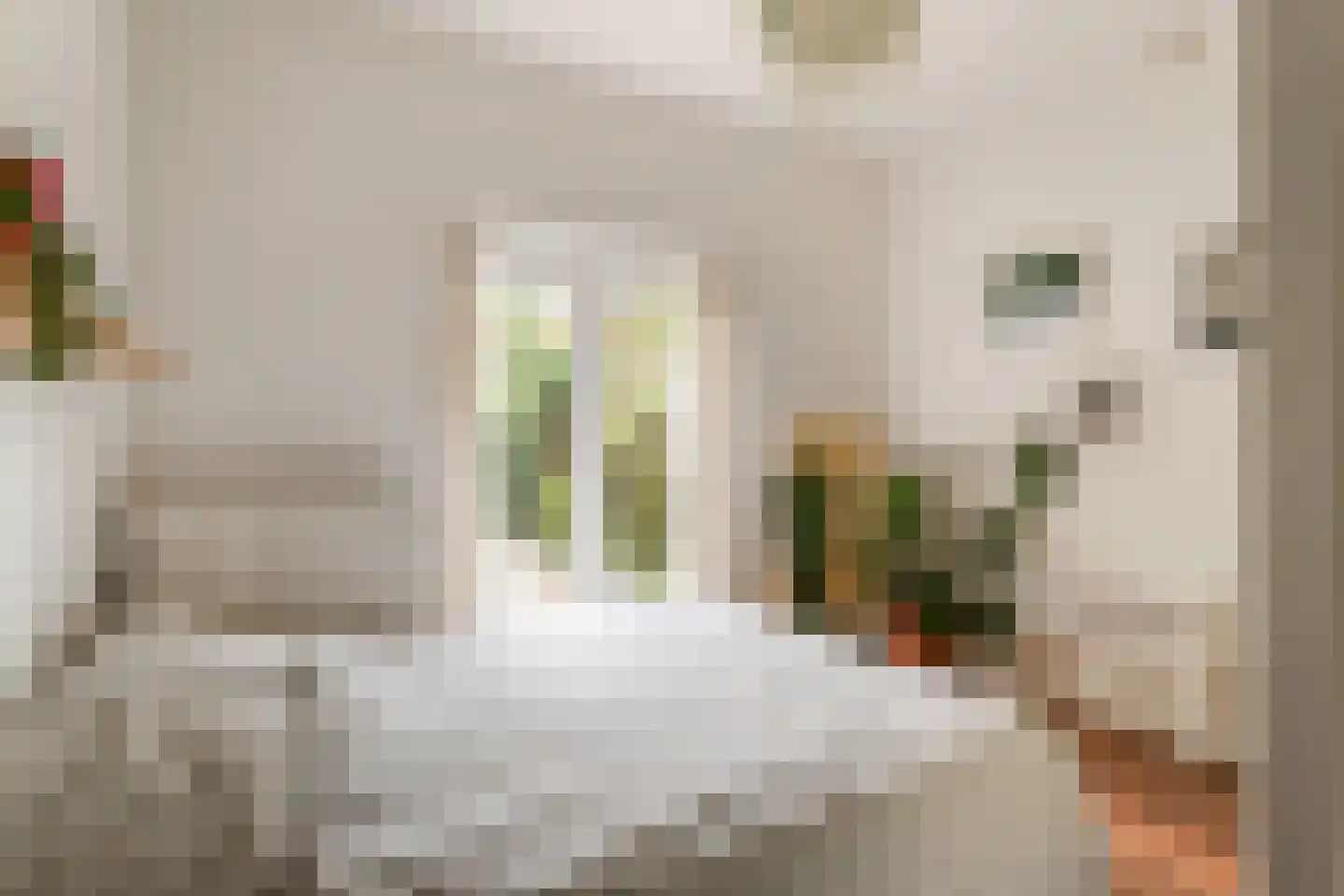 Oudenoord 472 Utrecht thumbnail 16
