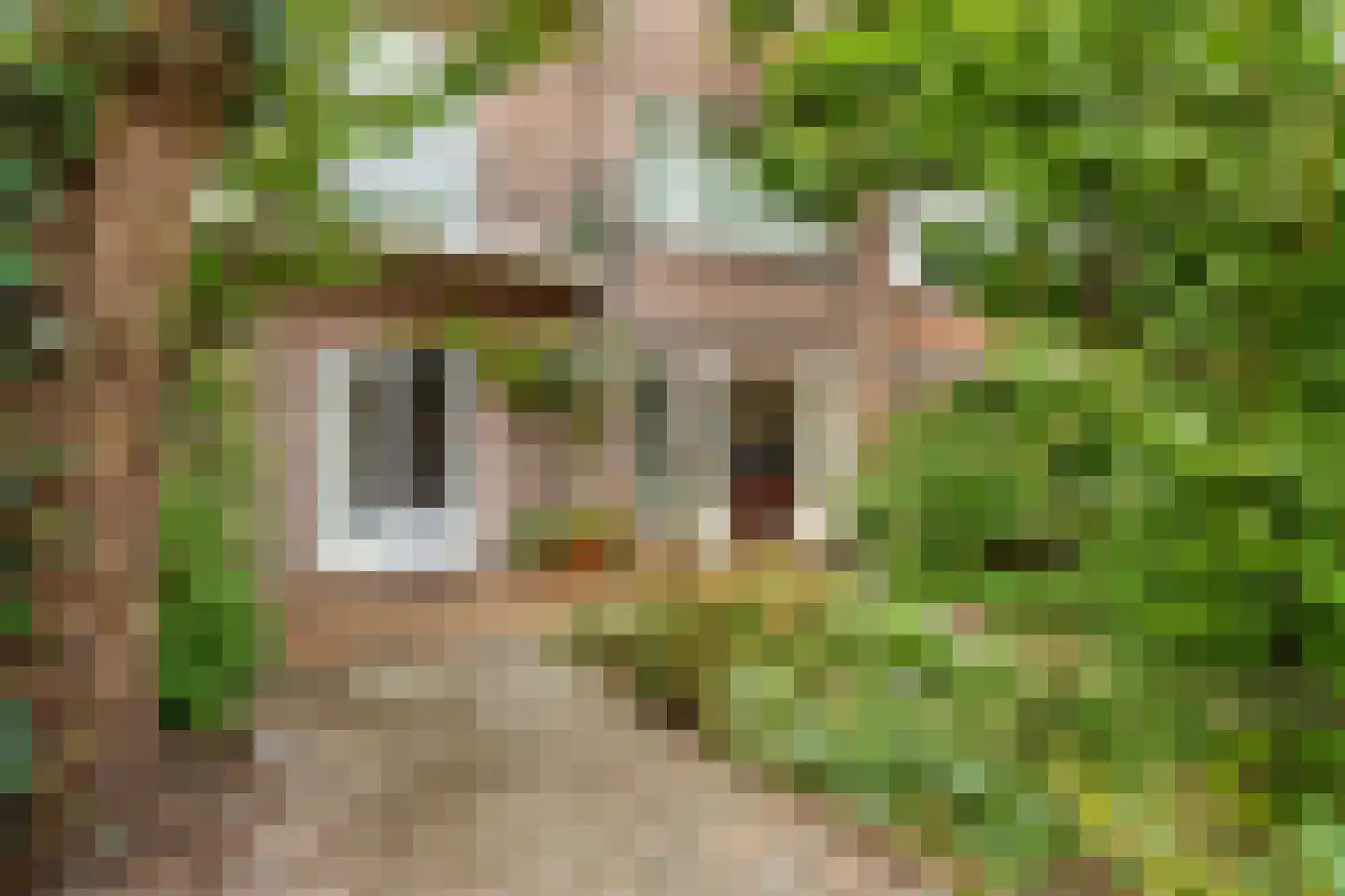 Oudenoord 472 Utrecht thumbnail 19