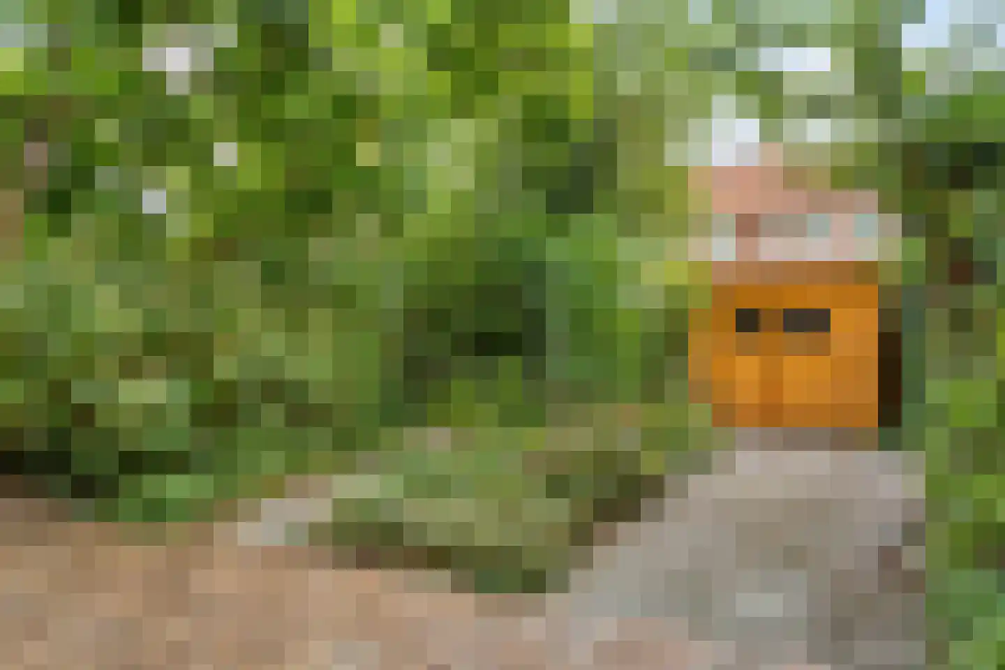 Oudenoord 472 Utrecht thumbnail 4