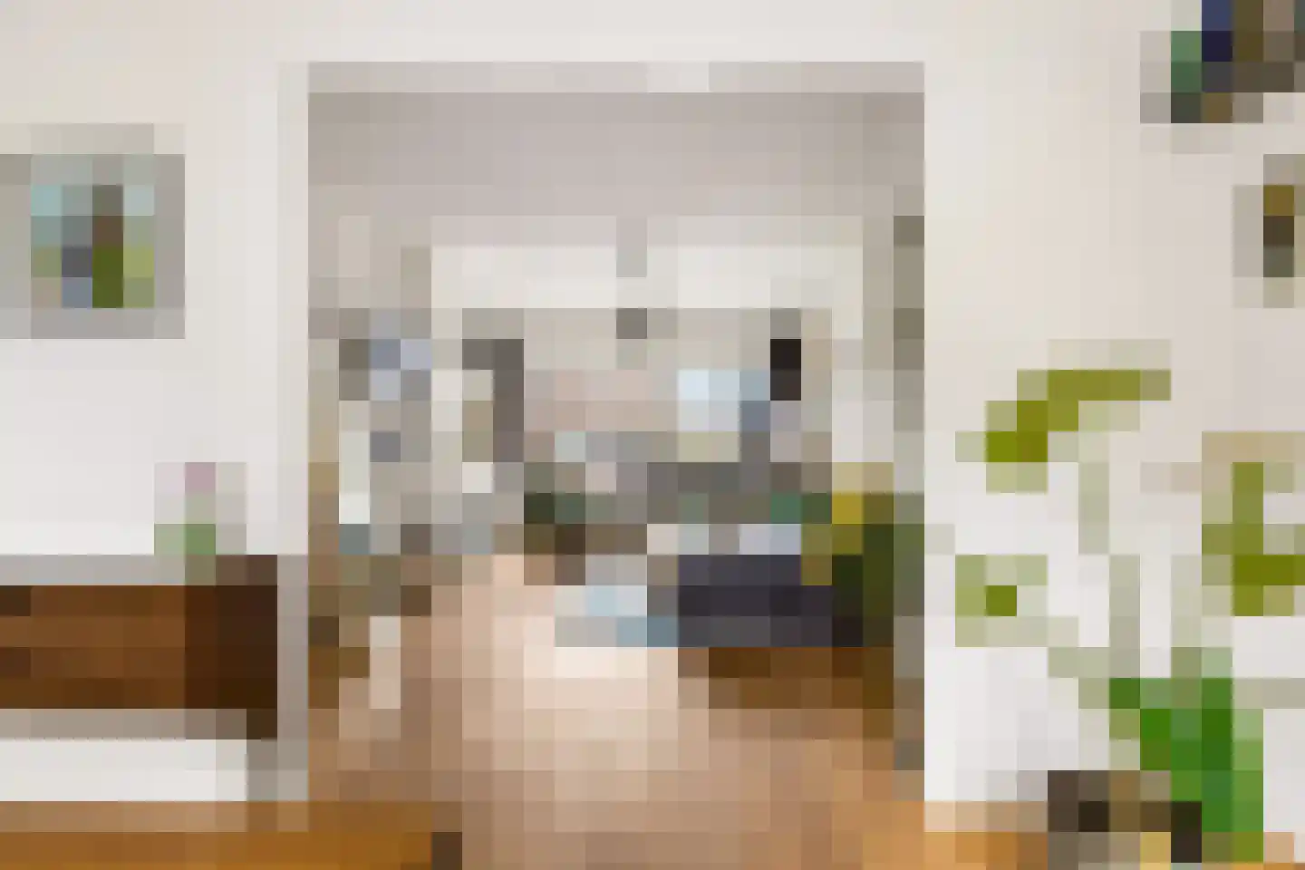 Oudenoord 490 Utrecht thumbnail 12