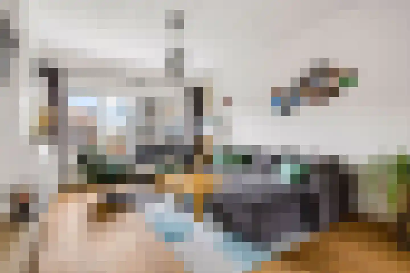 Oudenoord 490 Utrecht thumbnail 5