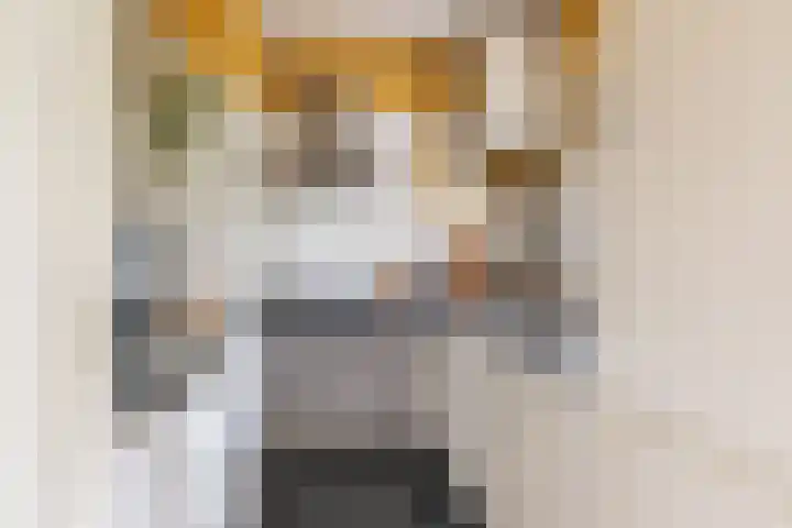 Oudenoord 511 Utrecht thumbnail 14