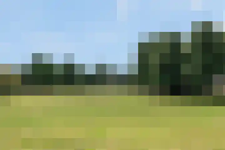 Oudenoord 511 Utrecht thumbnail 21