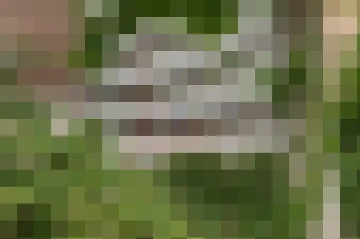 Oudenoord 511 Utrecht thumbnail 4