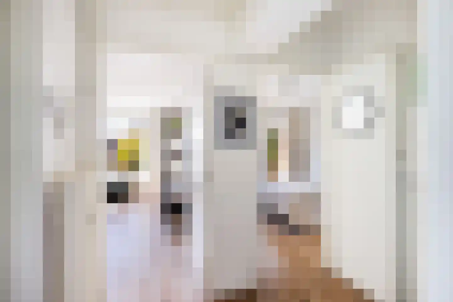 Oudenoord 513 Utrecht thumbnail 31