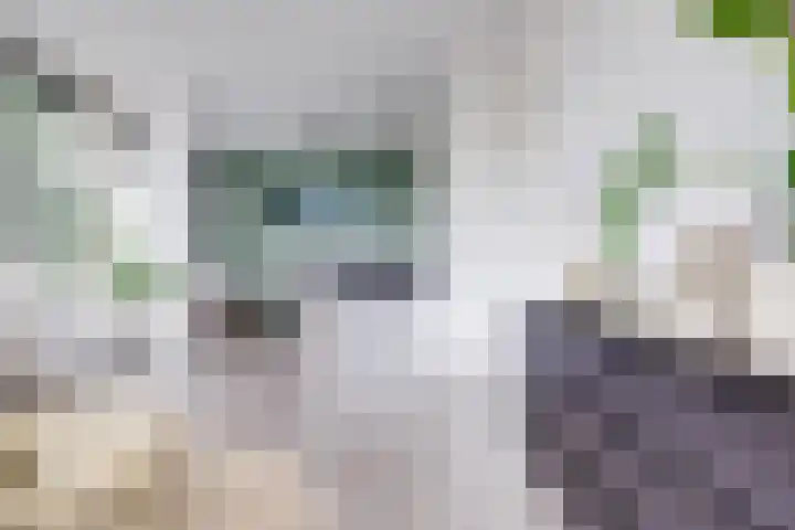 Oudenoord 514 Utrecht thumbnail 11