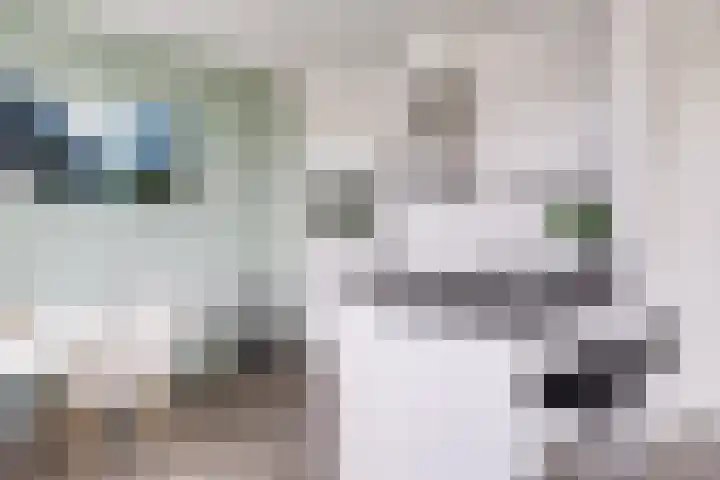 Oudenoord 514 Utrecht thumbnail 15