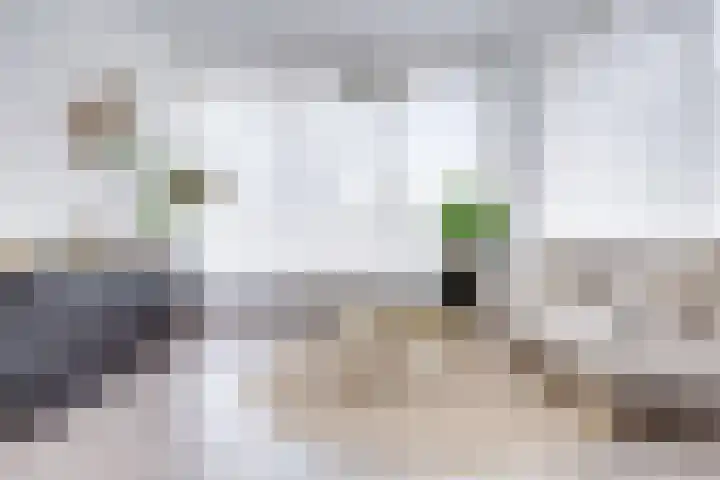 Oudenoord 514 Utrecht thumbnail 23