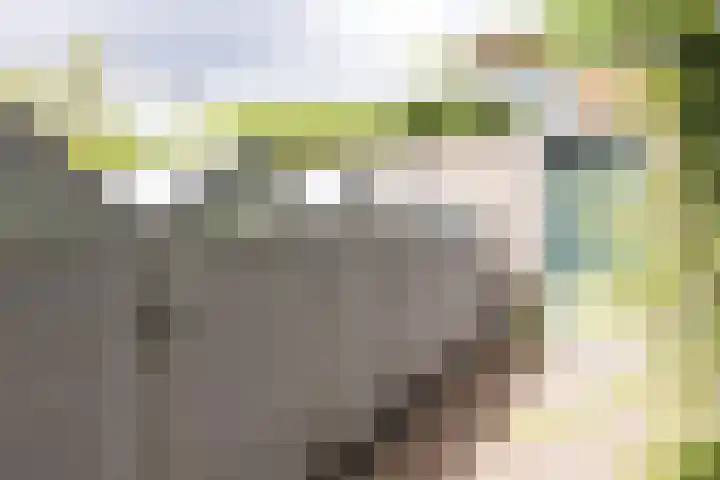 Oudenoord 514 Utrecht thumbnail 41