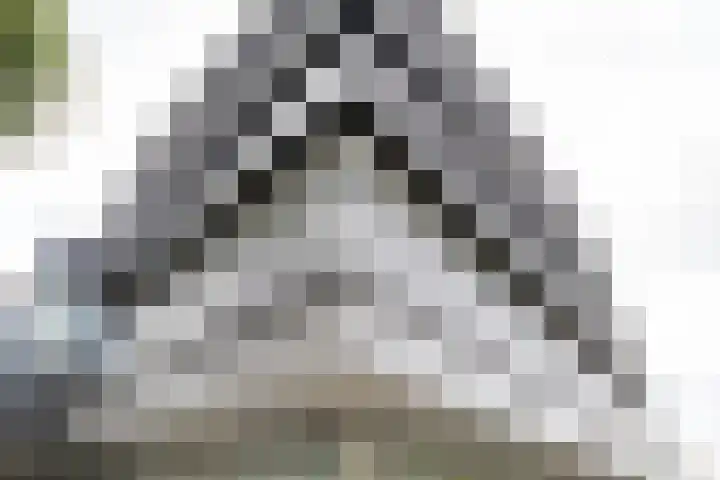 Oudenoord 514 Utrecht thumbnail 45