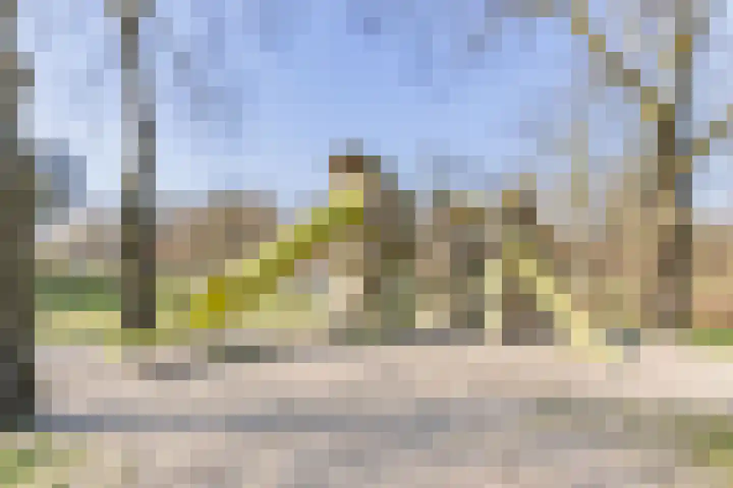 Oudenoord 515 Utrecht thumbnail 15