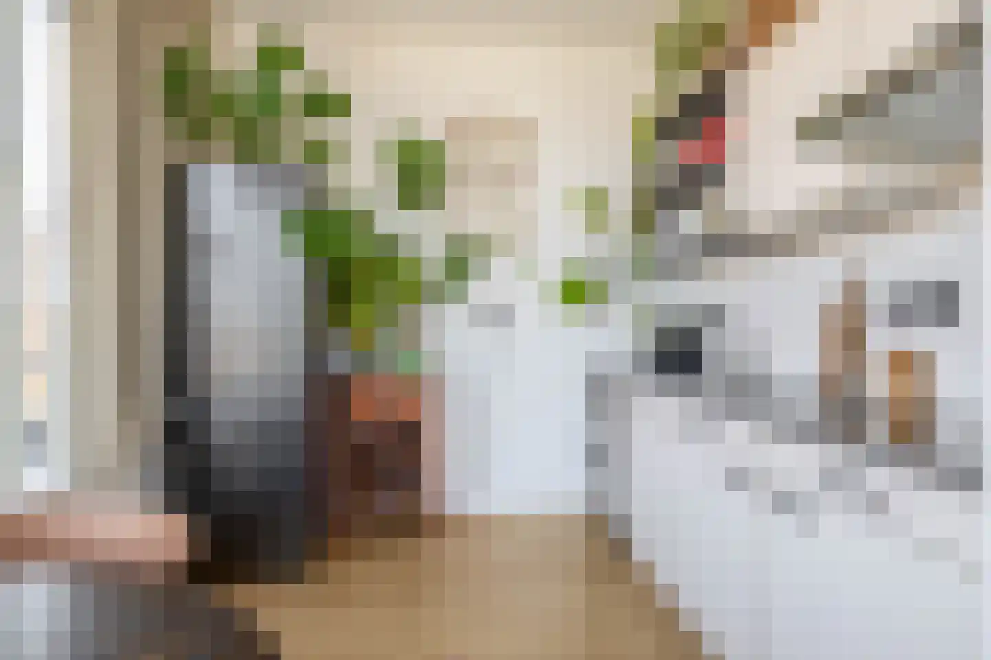 Oudenoord 530 Utrecht thumbnail 17