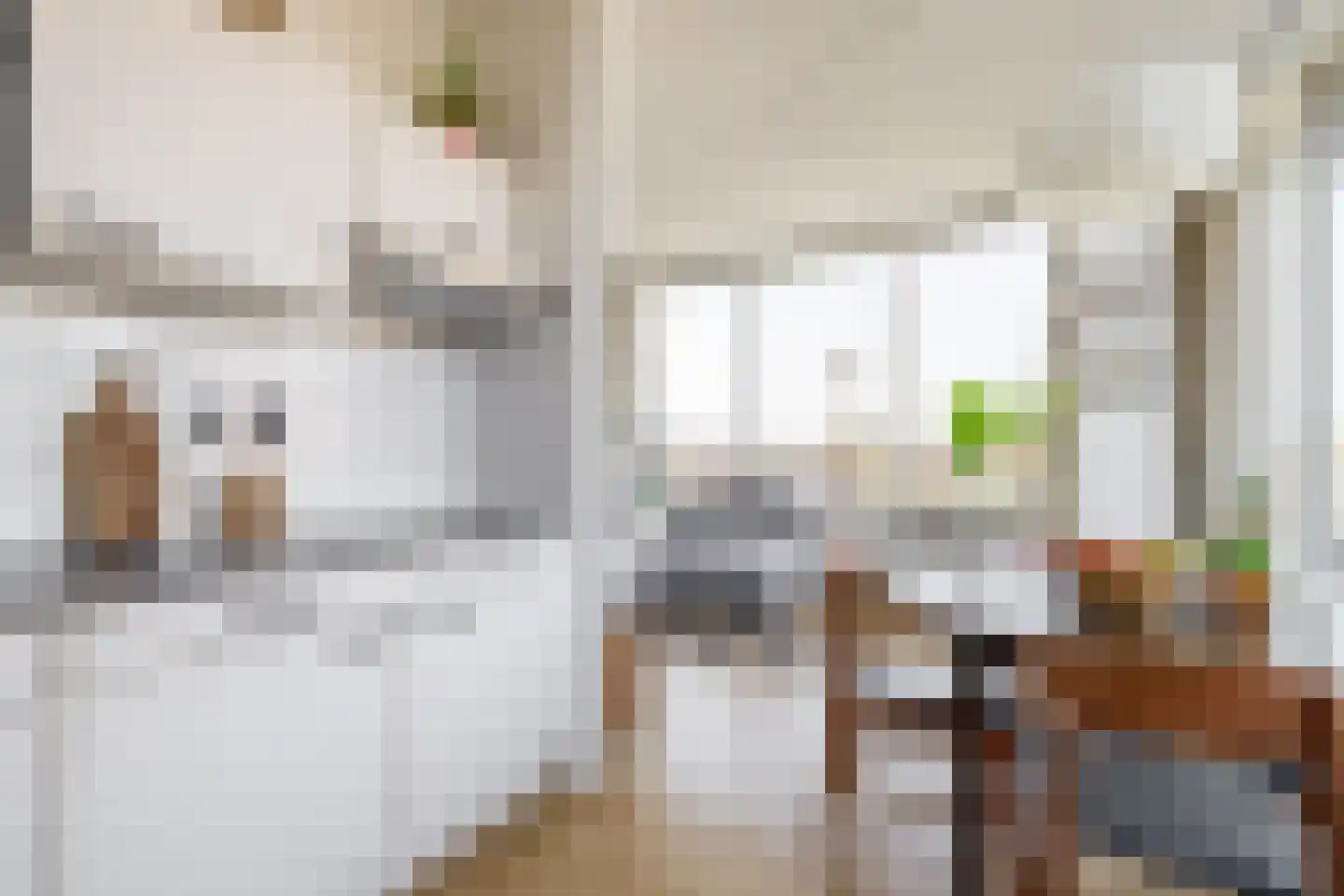 Oudenoord 530 Utrecht thumbnail 19