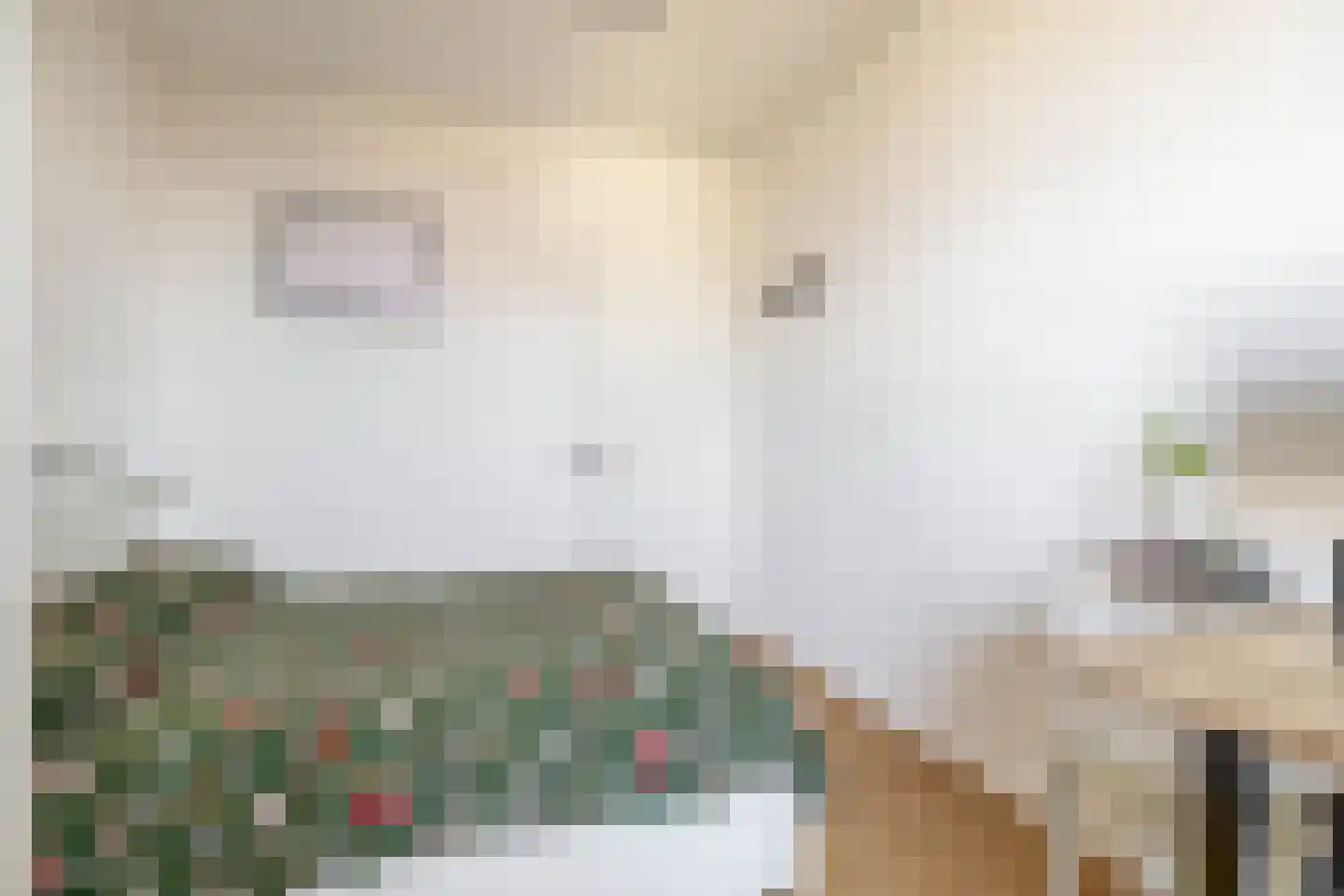 Oudenoord 530 Utrecht thumbnail 23
