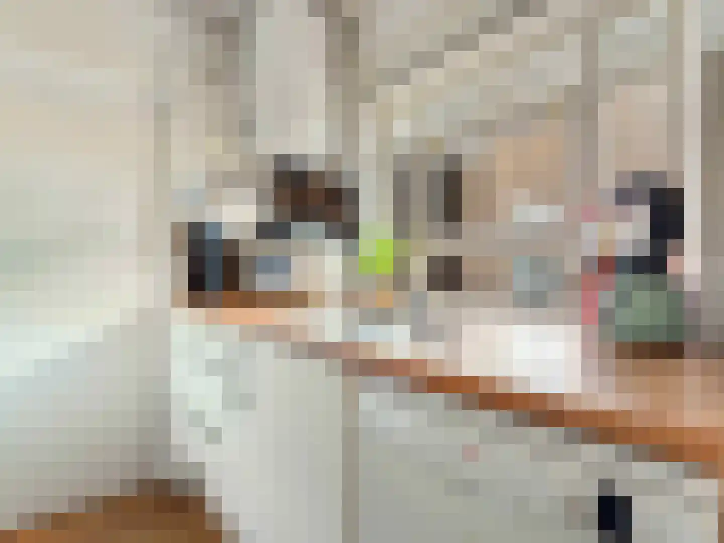 Oudenoord 531 Utrecht thumbnail 18