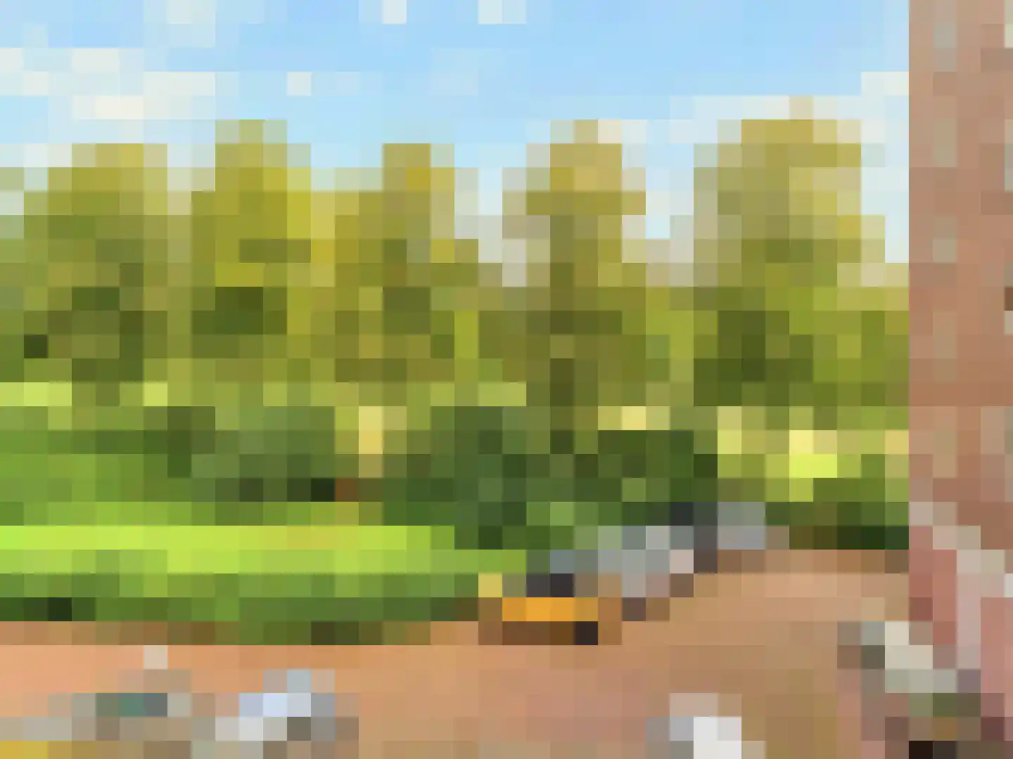Oudenoord 531 Utrecht thumbnail 30