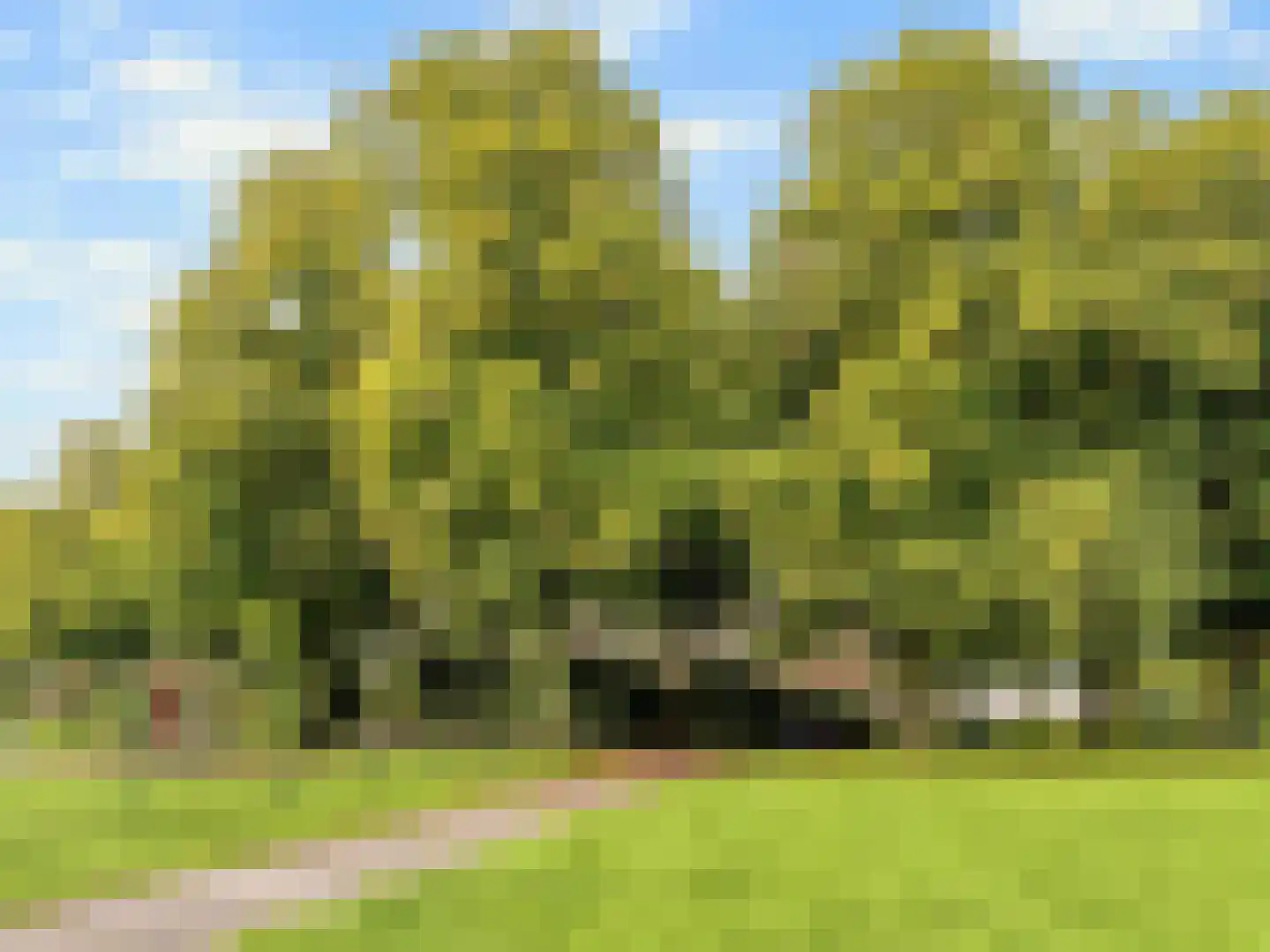 Oudenoord 531 Utrecht thumbnail 34
