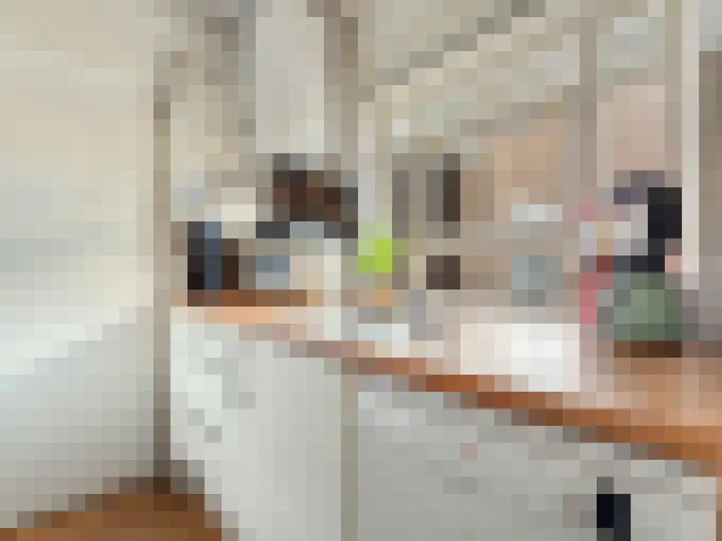 Oudenoord 531 Utrecht thumbnail 4