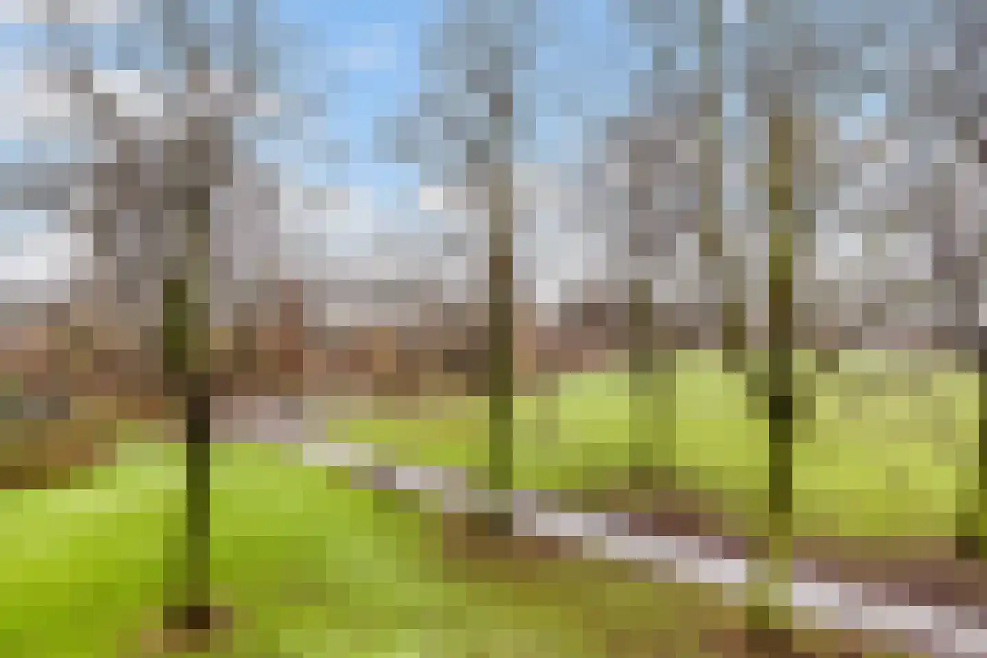 Oudenoord 535 Utrecht thumbnail 15