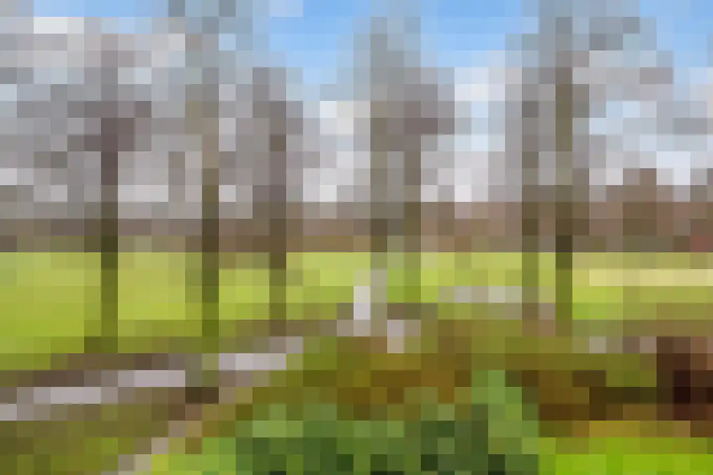 Oudenoord 535 Utrecht thumbnail 17