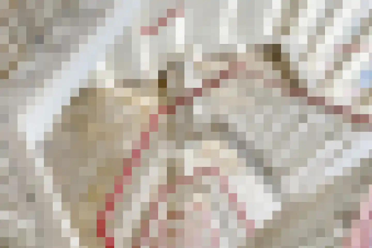 Oudenoord 535 Utrecht thumbnail 33