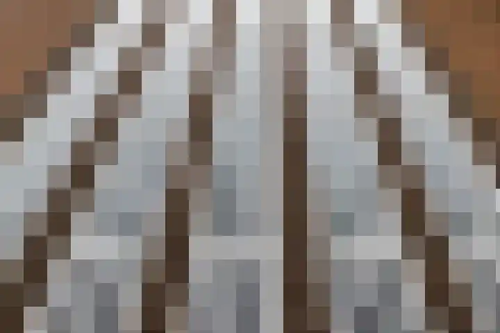 Oudenoord 539 Utrecht thumbnail 19
