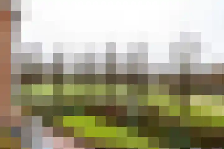 Oudenoord 539 Utrecht thumbnail 22