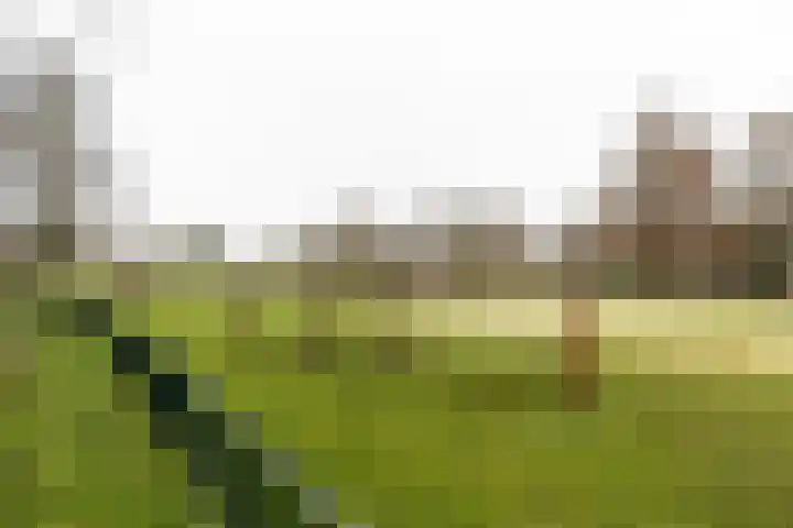 Oudenoord 539 Utrecht thumbnail 23