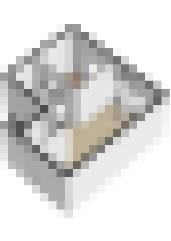 Oudenoord 542 Utrecht thumbnail 31