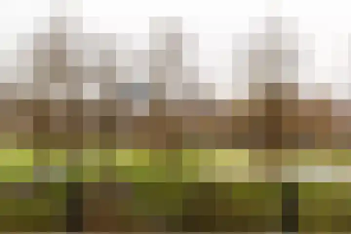 Oudenoord 543 Utrecht thumbnail 18