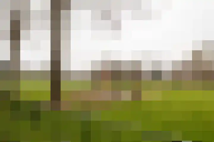Oudenoord 543 Utrecht thumbnail 19