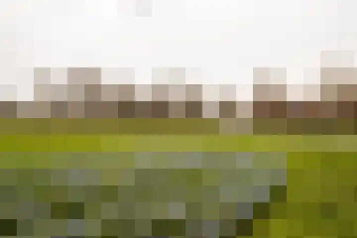 Oudenoord 543 Utrecht thumbnail 20