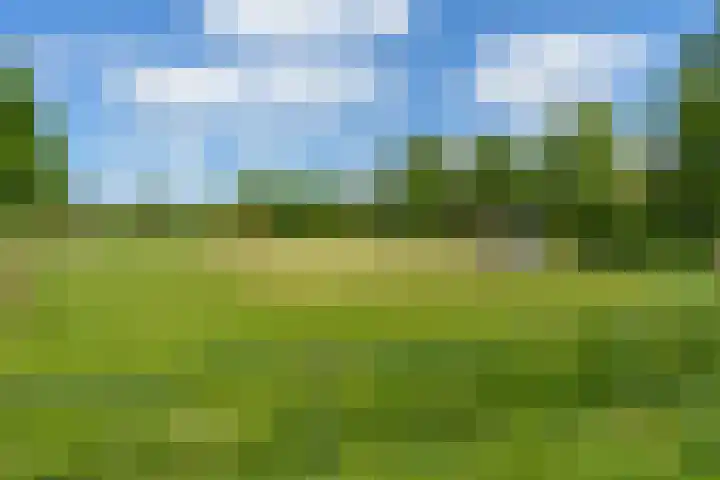 Oudenoord 577 Utrecht thumbnail 29