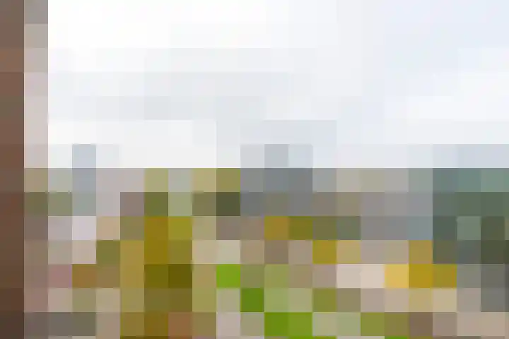 Oudenoord 577 Utrecht thumbnail 4