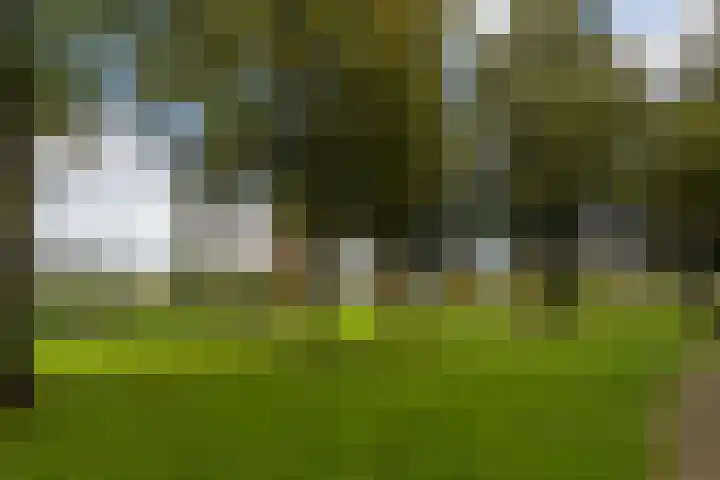 Oudenoord 603 Utrecht thumbnail 40