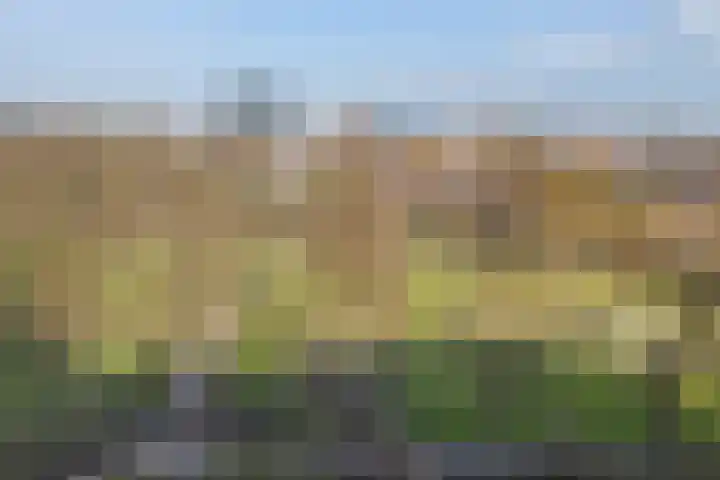 Oudenoord 611 Utrecht thumbnail 29