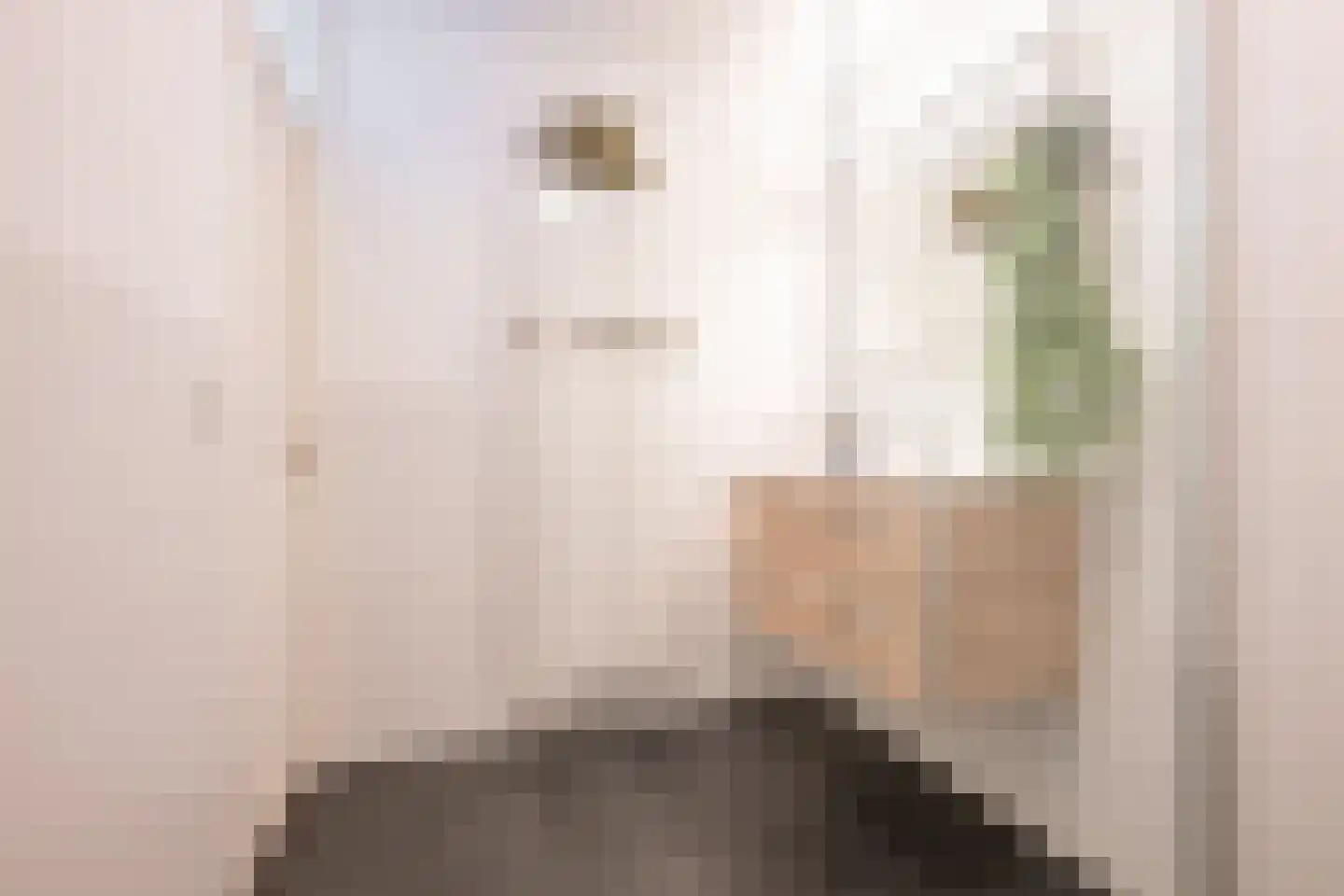 Oudenoord 84 Utrecht thumbnail 25