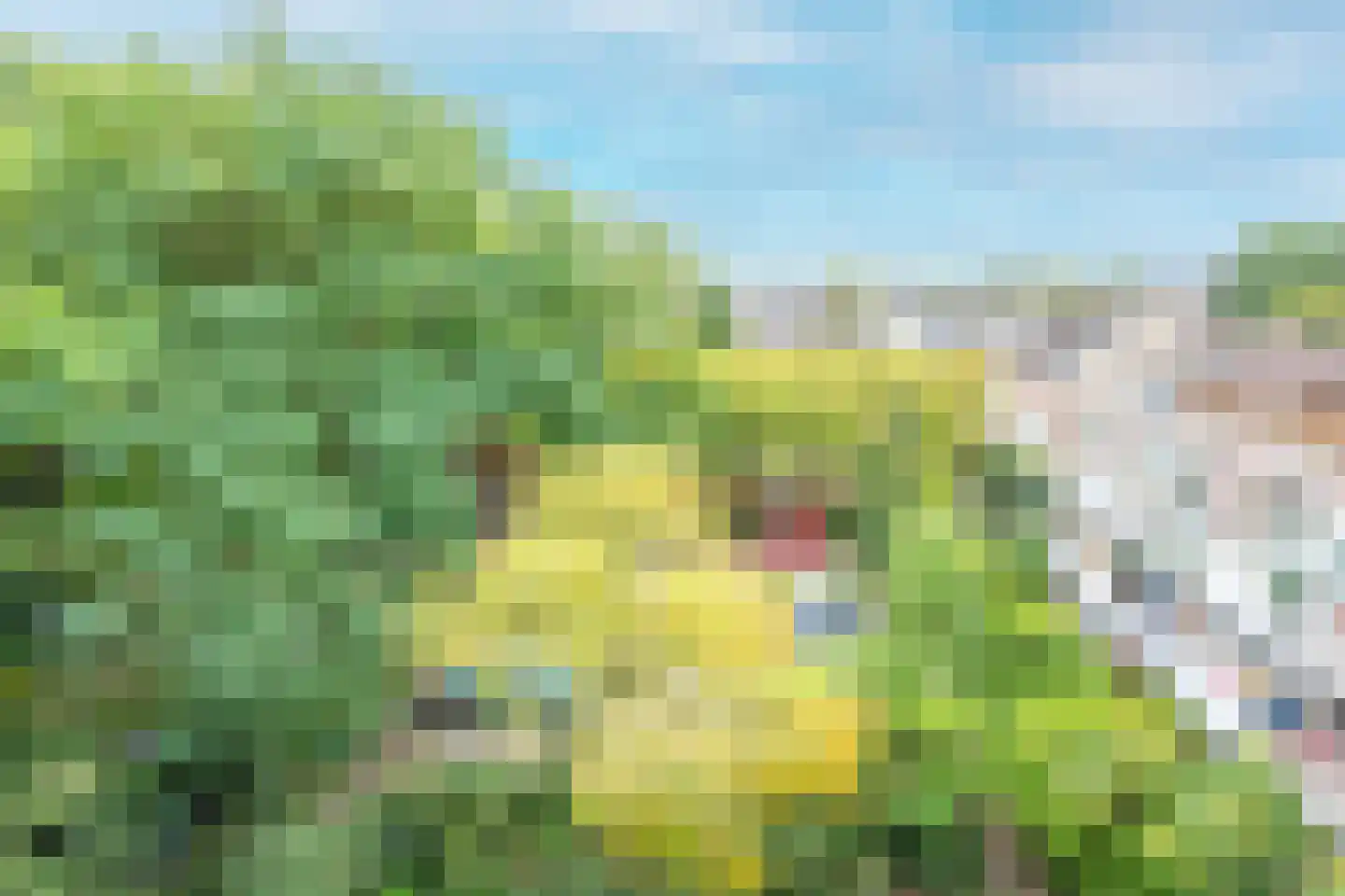 Oudenoord 84 Utrecht thumbnail 32