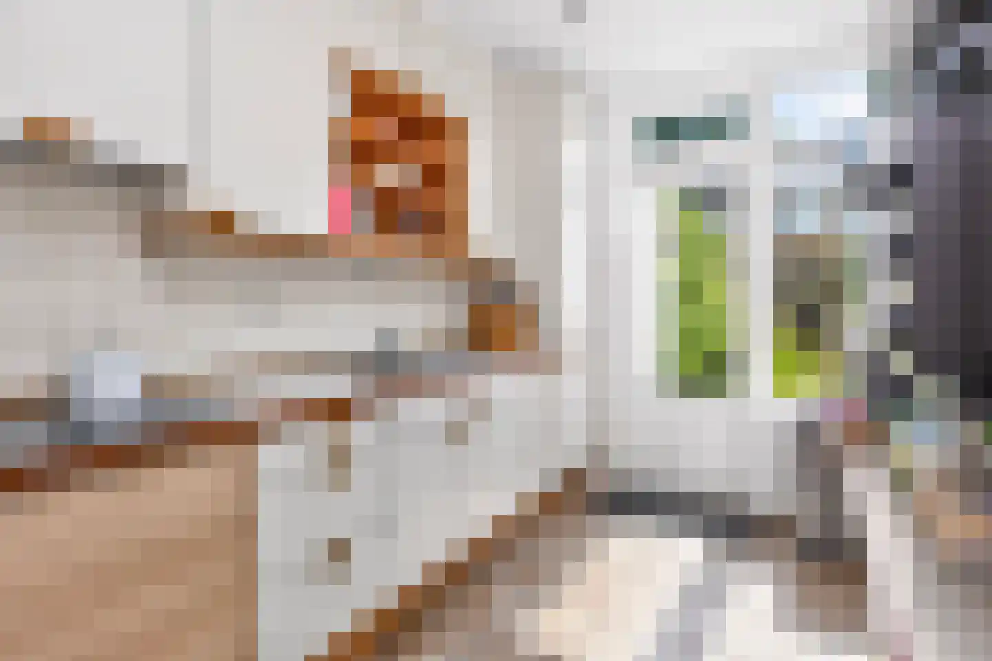 Oudenrijnsingel 12 De Meern thumbnail 11
