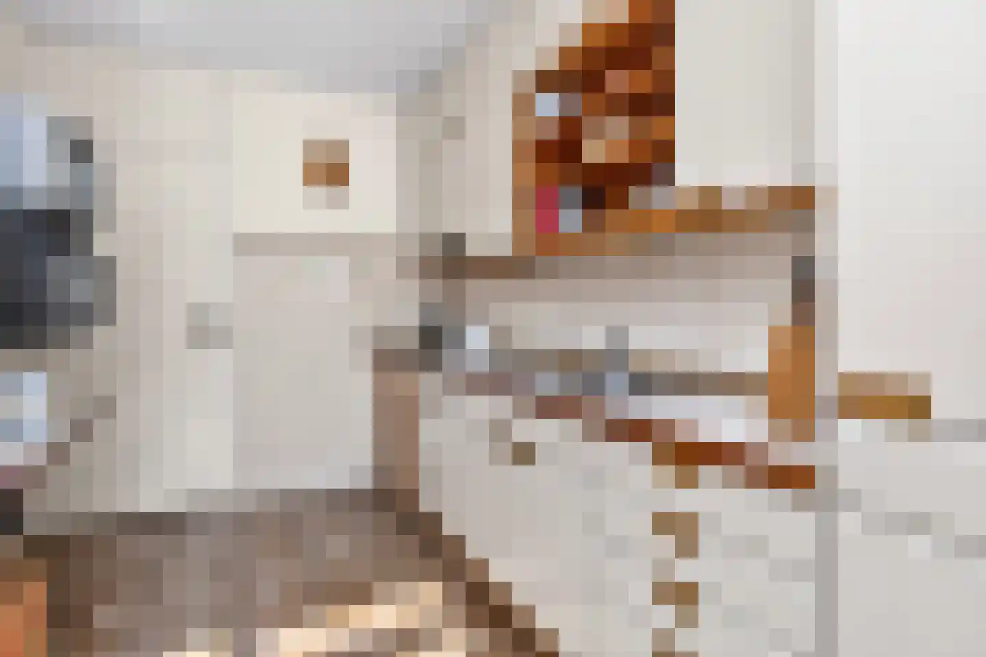 Oudenrijnsingel 12 De Meern thumbnail 12